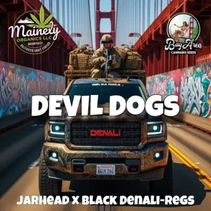 Devil Dogs (Jarhead #178 × Black Denali)