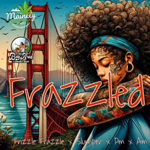 Frazzled (Frizzle Frazzle × {Slumper #119 × PM × AM})