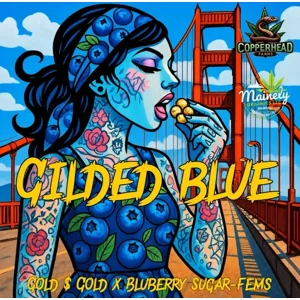 Gilded Blue (Gold $ Gold × Bluberry Sugar) {Fems}