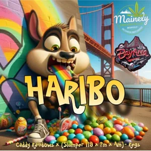 HARIBO (Caddy Rainbows × {Slumper #119 × PM × AM})