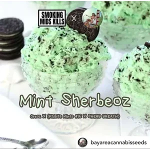 Mint Sherbeoz (Oreoz × Khalifa Mints #16 × Sherb Breath)