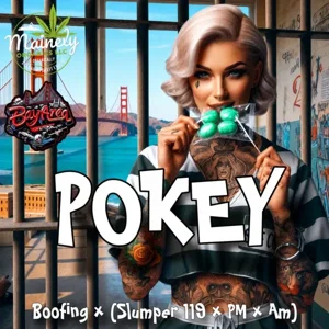 POKEY (Boofing × {Slumper #119 × PM × AM})