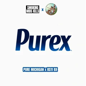 Purex (Pure Michigan × RS11 BX)