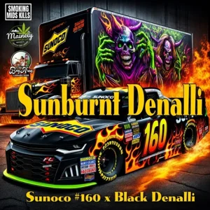 Sunburnt Denalli (Sunoco #160 × Black Denalli)