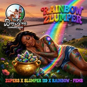 Rainbow Zlumper (Zupers × Slumper #119 × Rainbow) {Fems}