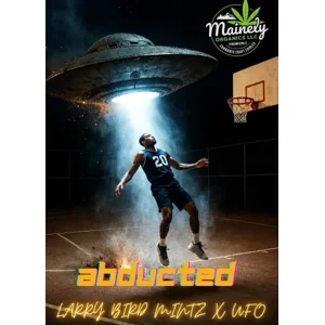 Abducted (Larry Bird Mintz #8 × U.F.O) {Fems}