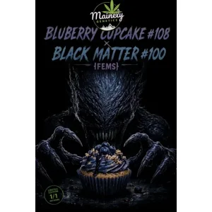 Bluberry Cupcake #108 × Black Matter #100 {Fems}