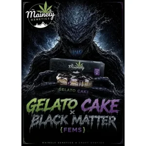 Gelato Cake × Black Matter #100 {Fems}