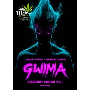 Gwi-Ma (Black Matter #100 × Bluberry Sugar) {Fems}