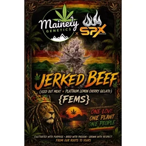 Jerked Beef (Iced Out Meat × Platinum Lemon Cherry Gelato) {Fems}