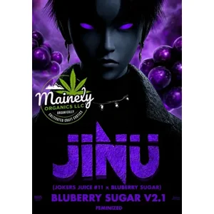 Jinu (Jokers Juice #11 × Bluberry Sugar) {Fems}