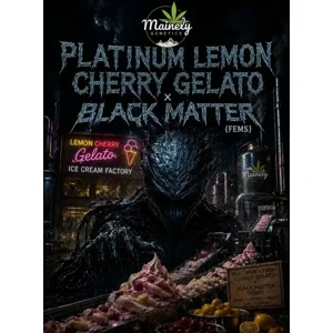 Platinum Lemon Cherry Gelato × Black Matter #100 {Fems}
