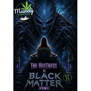The Mistress × Black Matter #100 {Fems}