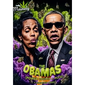 The Obamas (Power Couple #242 × Platinum Lemon Cherry Gelato) {Fems}