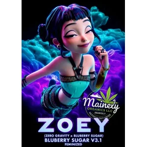 Zoey (Zero Gravity #60 × Bluberry Sugar) {Fems}