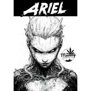 Ariel (Yellow Mermaid × Black Matter #100) {Fems}