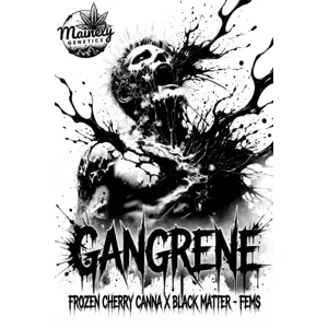 Gangrene (Frozen Cherry Canna #39 × Black Matter #100) {Fems}