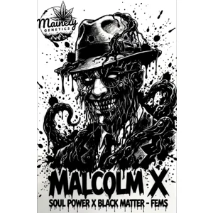 Malcolm X (Soul Power #17 × Black Matter #100) {Fems}