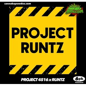 Project Runtz (Project 4516 × Runtz) {Fems}