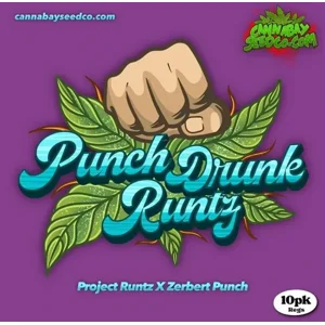 Punch Drunk Runtz (Project Runtz × Zerbert Punch)