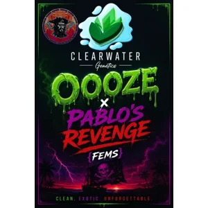 Oooze × Pablo’s Revenge {Fems}