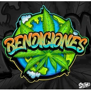 Bendiciones aka Blessings (Garlato × Forbidden Shoes)