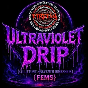 Ultraviolet Drip (Gluttony × Seventh Dimension) {Fems}