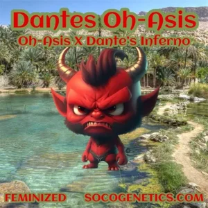 Dante's Oh-Asis (Oh-Asis × Dante's Inferno) {Fems}