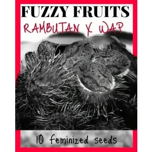 Fuzzy Fruits (Rambutan × WAP) {Fems}