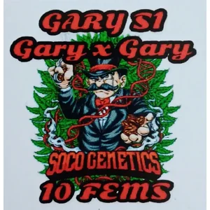 Gary S1 (Gary × Gary) {Fems}