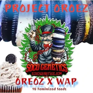 Project Oreoz (Oreoz × WAP) {Fems}