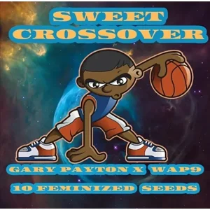 Sweet Crossover (Gary Payton × WAP) {Fems}