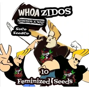 Whoazidos (Rozidos × WAP) {Fems}