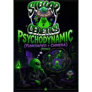 Psychodynamic (Funkdafied × Chimera) {Fems}