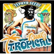 Zkittlez Pie × Tropical Runtz