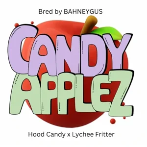 Candy Applez (Hood Candyz S1 × Lychee Fritter)