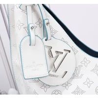 Louis Vuitton Carmel Hobo Bag White | Blue
