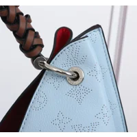 Louis Vuitton Carmel Hobo Bag
