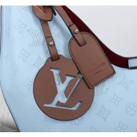 Louis Vuitton Carmel Hobo Bag
