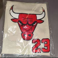 $300 Designer Sunglasses & Mitchell Ness NBA Jersey Bundle | Jordan & LeBron