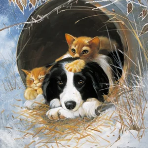 Border Tcolllie and Kittens