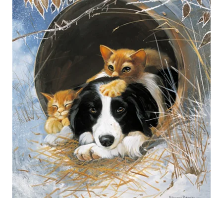 Border Tcolllie and Kittens