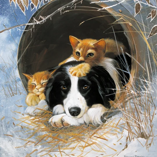 Border Tcolllie and Kittens