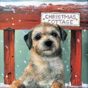 Border terrier Pup Christmas Card