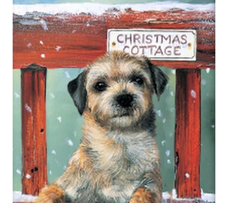 Border terrier Pup Christmas Card