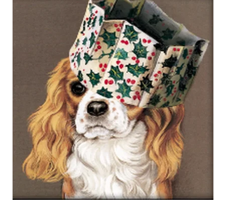 King Charles Spaniel