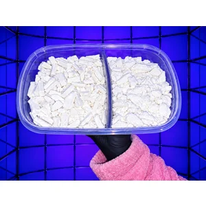 lunch box