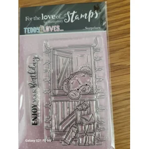 Teddy loves - Surprises