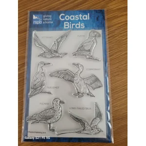 Coastal Birds