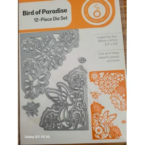Bird of Paradise